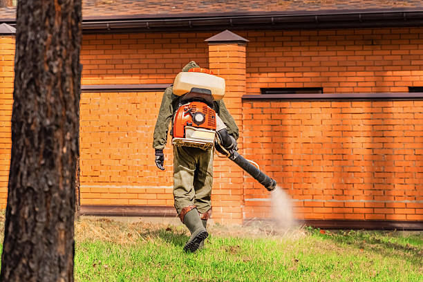 Trusted Emergency Pest Control service in Verona, PA - Nex Pest Control